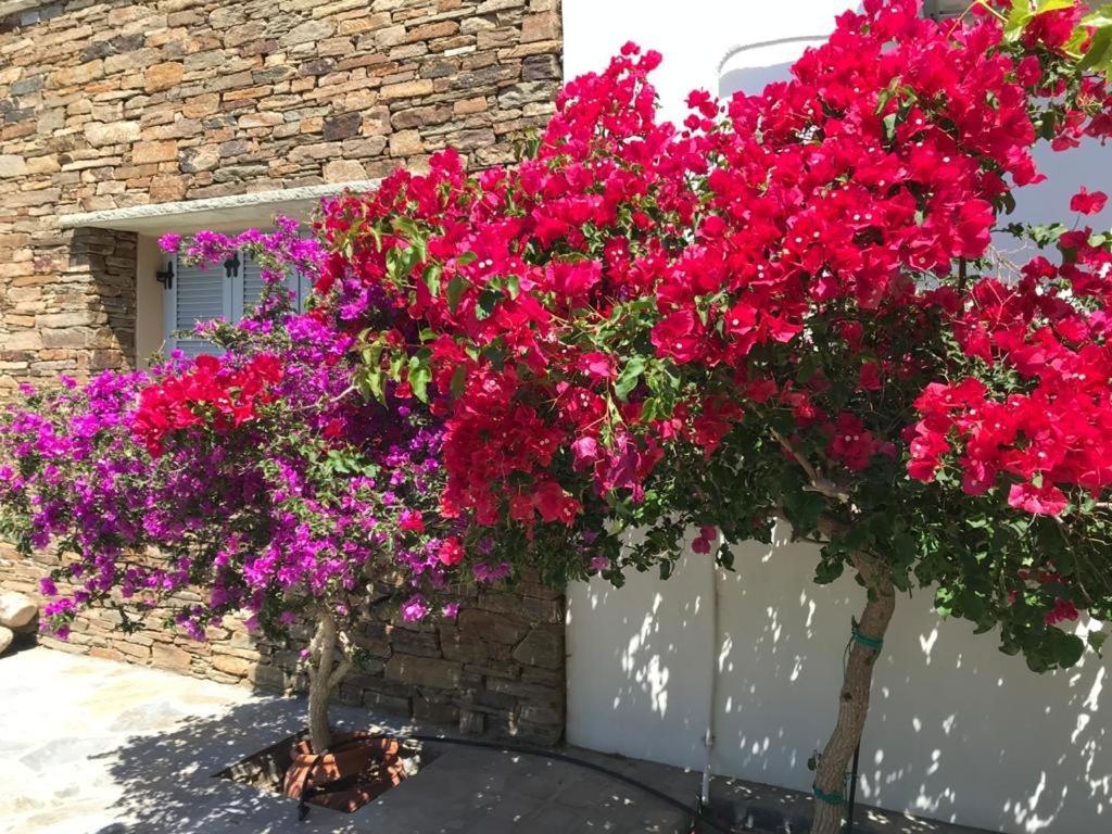 Oikia Petra Agios Ioannis (Tinos)