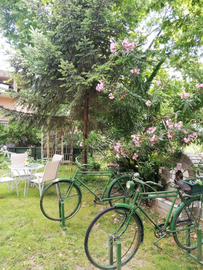 Apartment Dimitriadis Fresh Edem Limenas (Thasos)