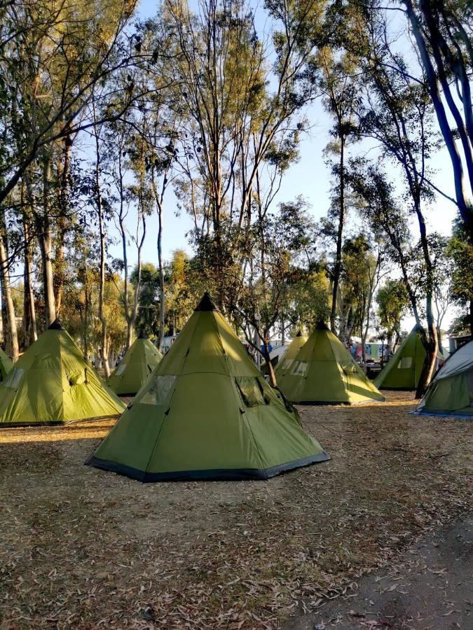 Camping Drepanos * Igoumenitsa