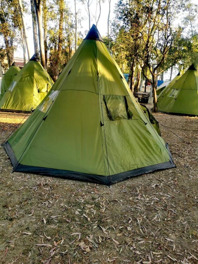 Campsite Camping Drepanos *