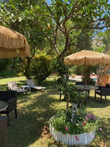 Aparthotel Dionyssos Village Kato Daratso