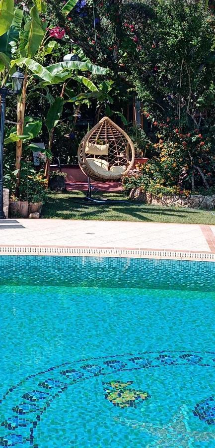 Dionyssos Village Aparthotel Kato Daratso