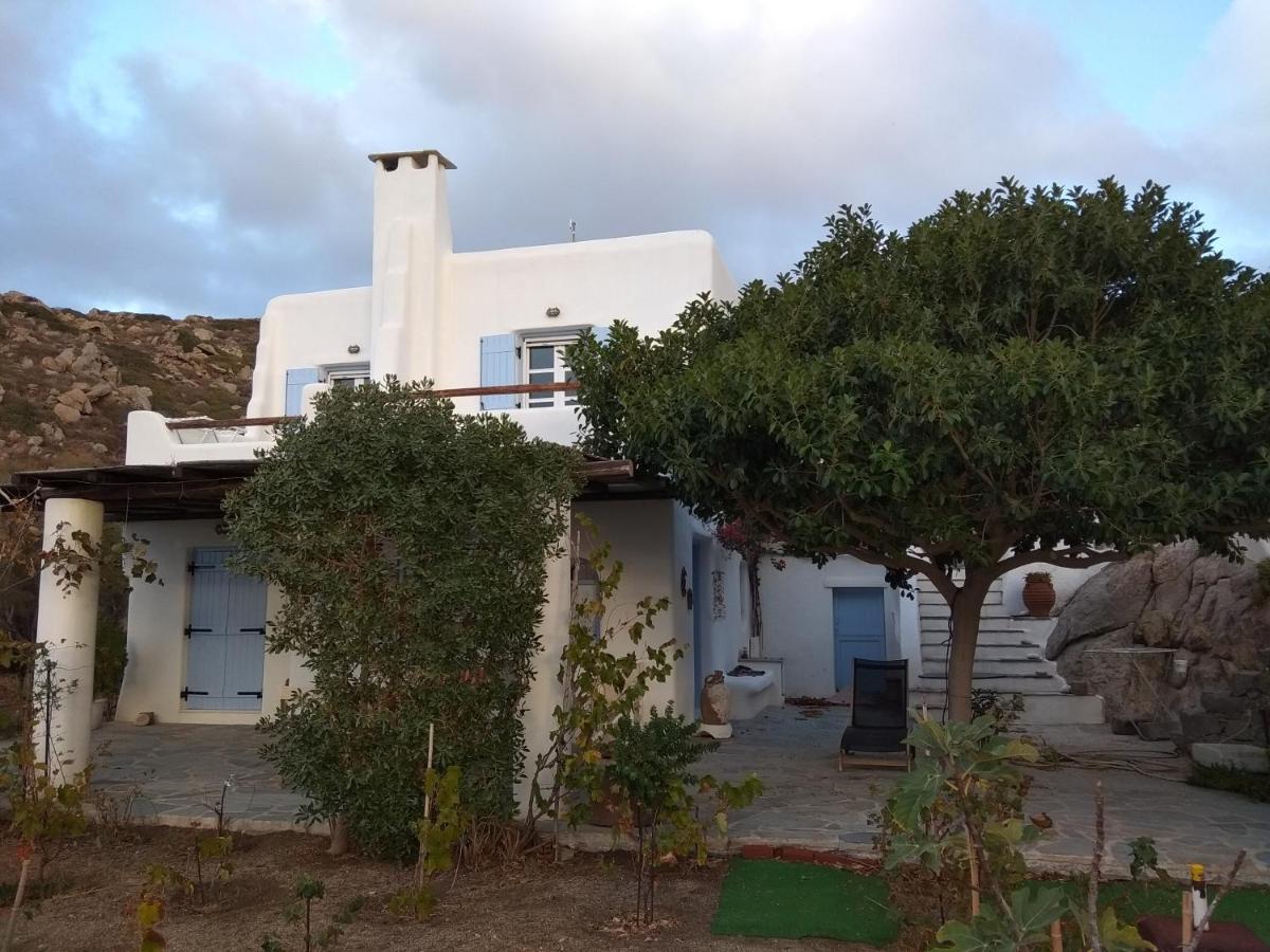 Karades Medusa Apartment