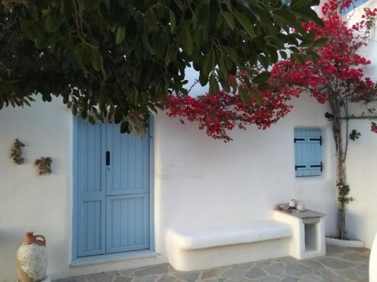 Apartment Karades Medusa Plaka (Naxos)