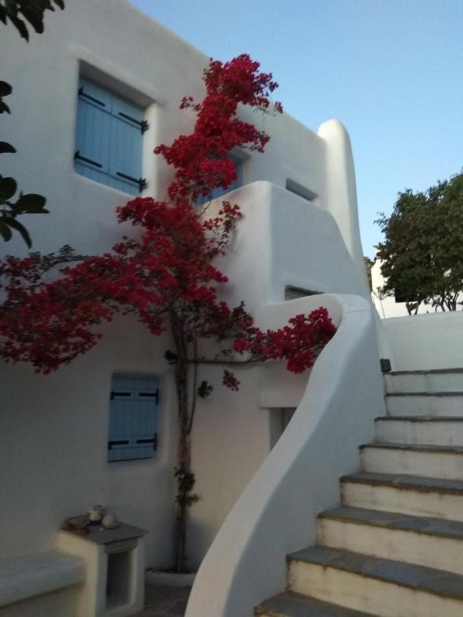 Apartment Karades Medusa *