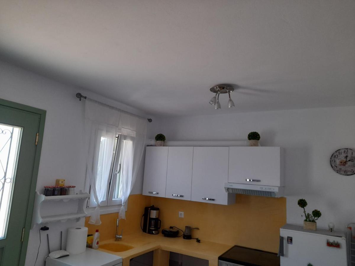 Apartment Magda House