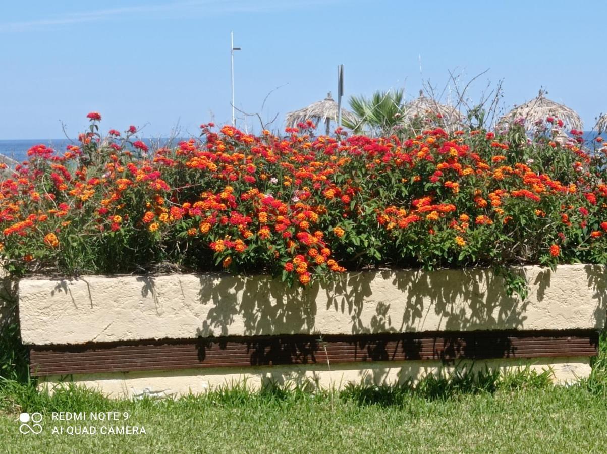 Apartment Ktima Althea *