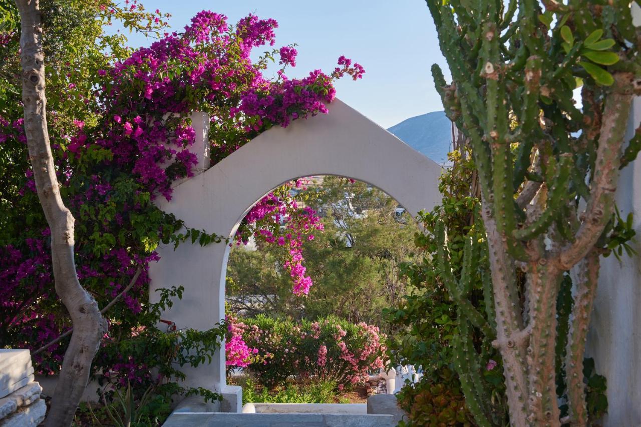 Apartment Cleopatra Seaside Homes, Logaras, Paros Piso Livadi