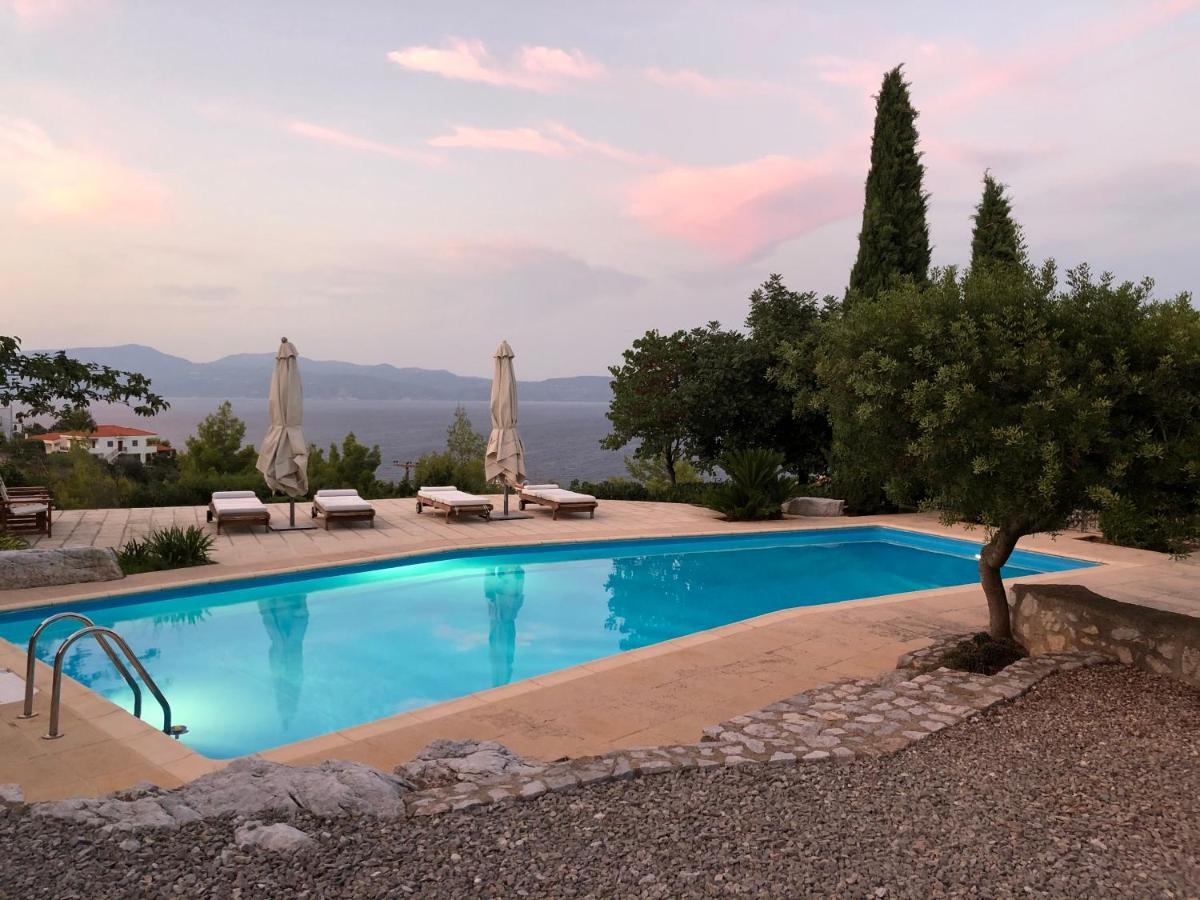 With Swimming Pool And Tennis/basketball Court *