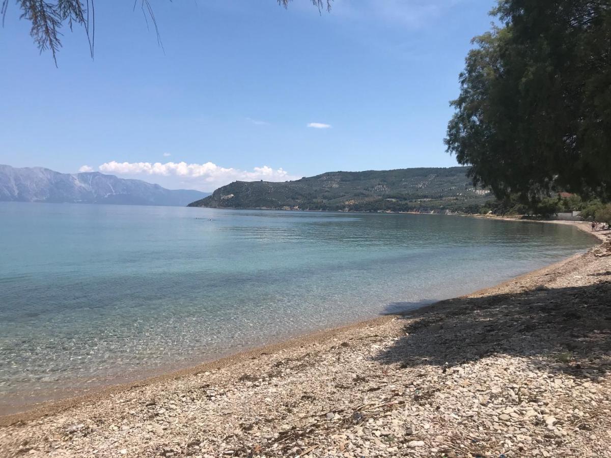 With Swimming Pool And Tennis/basketball Court Theologos (Phthiotis)