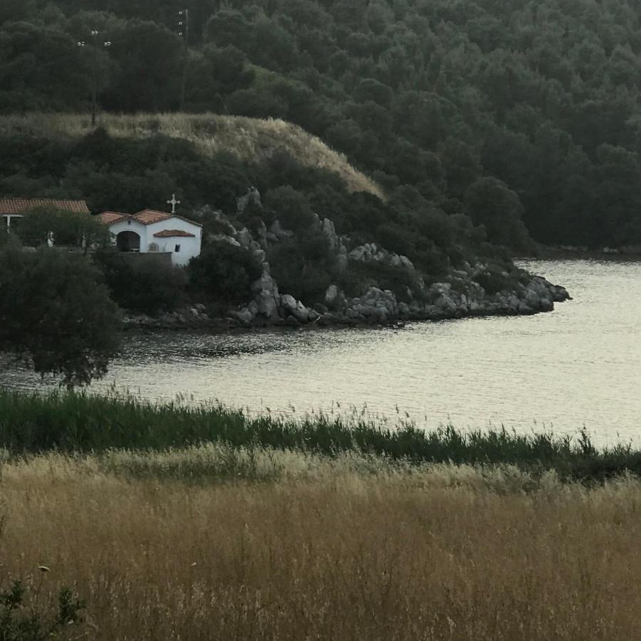 With Swimming Pool And Tennis/basketball Court