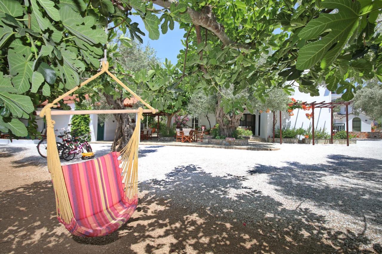 Katerina Apartment Panormos (Skopelos)