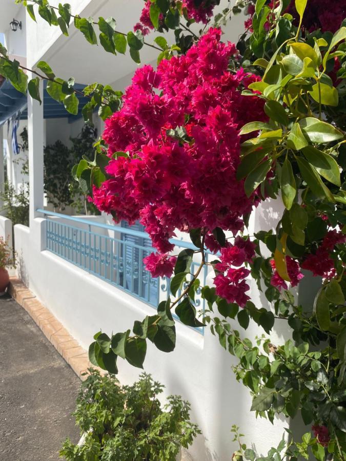Mare Apartment