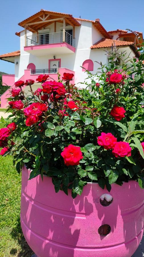 Apartment Vigla House Sykia Chalkidikis