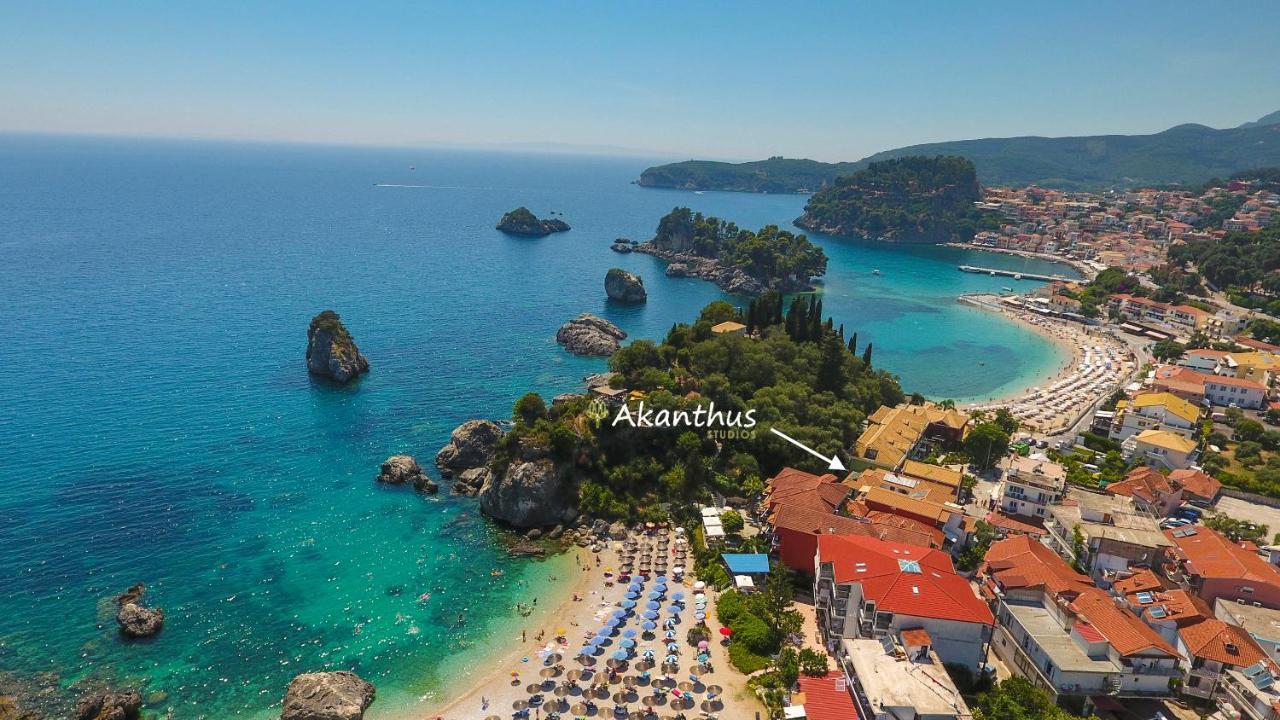 Akanthus - Ex Vergos Pavlos Parga