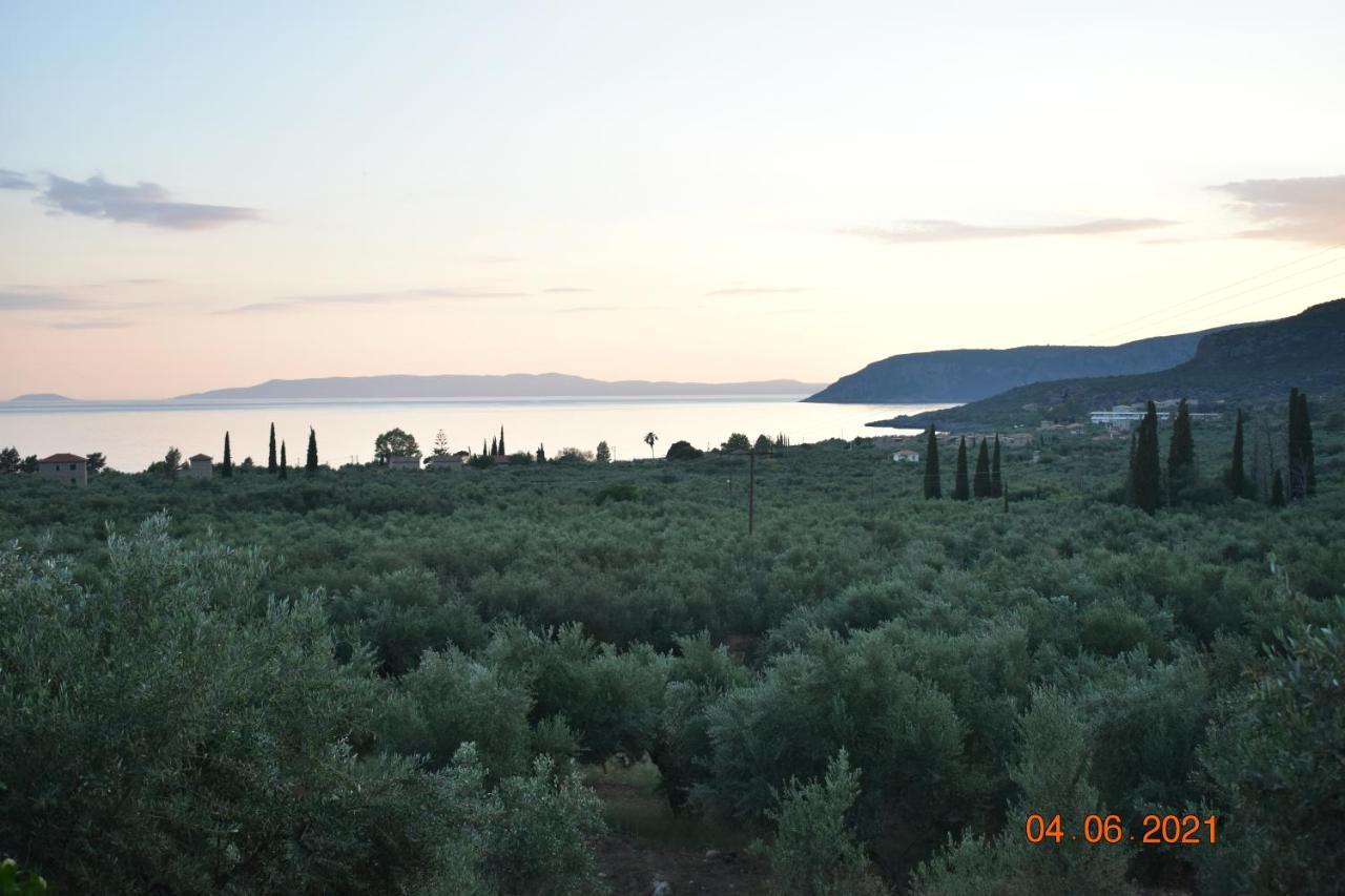 Apartment Ouranias *