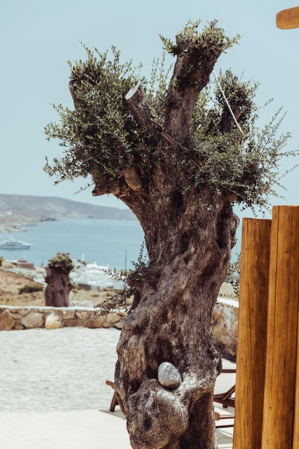 M-vibes Mykonos