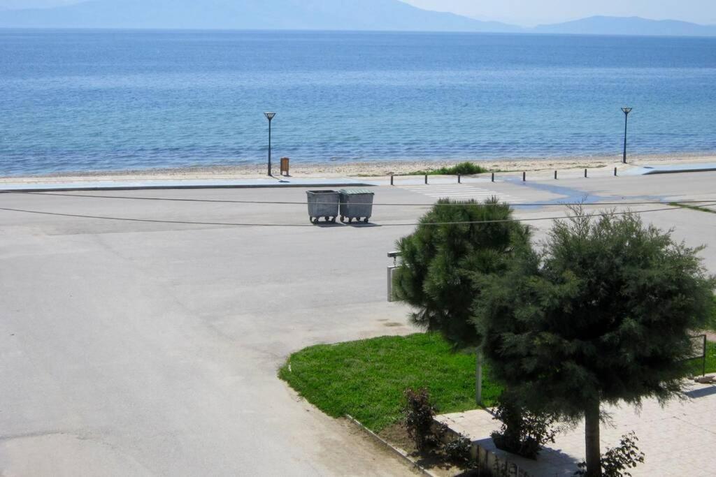 Apartment Olive House - Ofrinio Orfanion