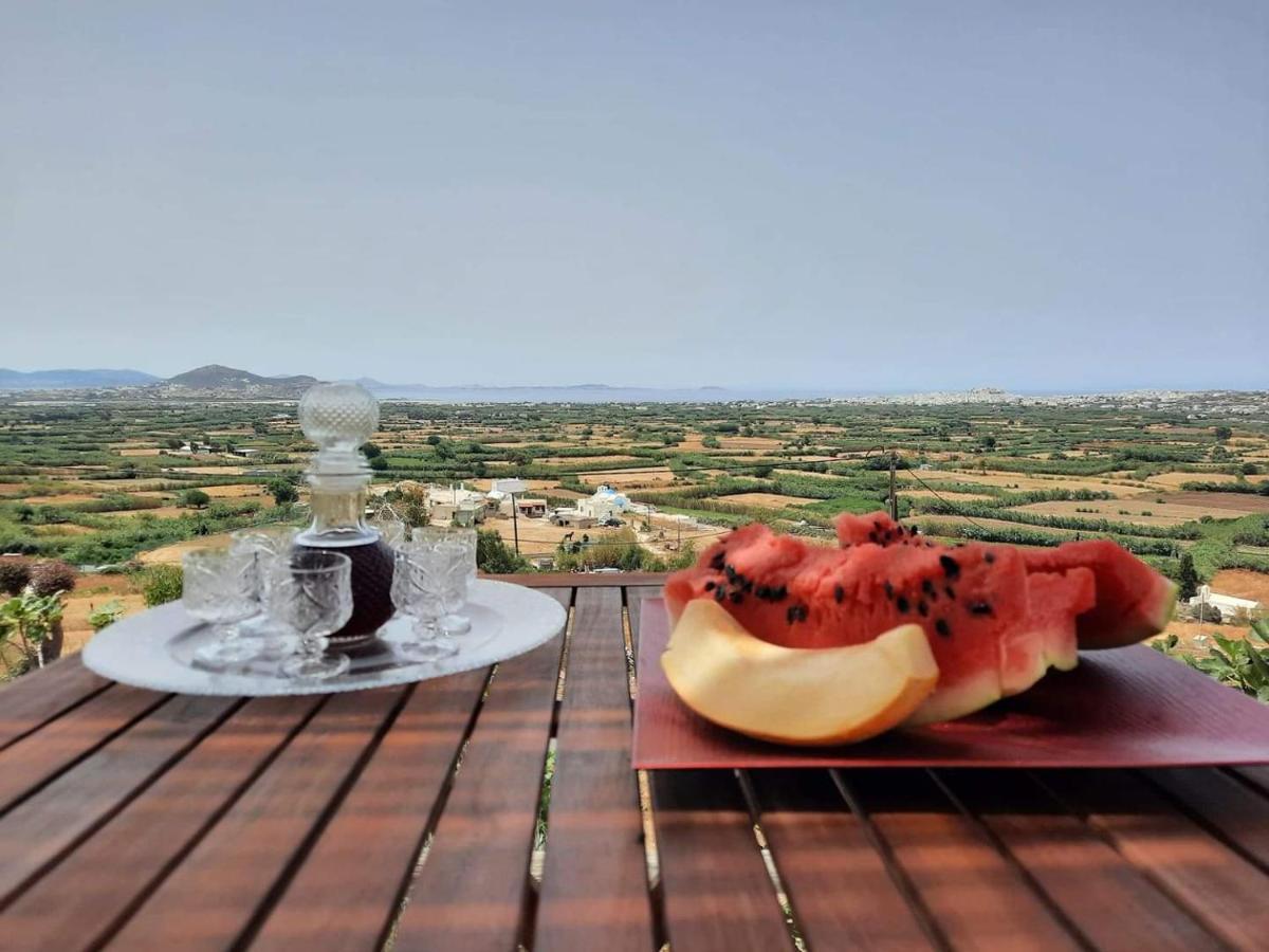 Apartment Janakos View With Private Pool Glinado Naxos