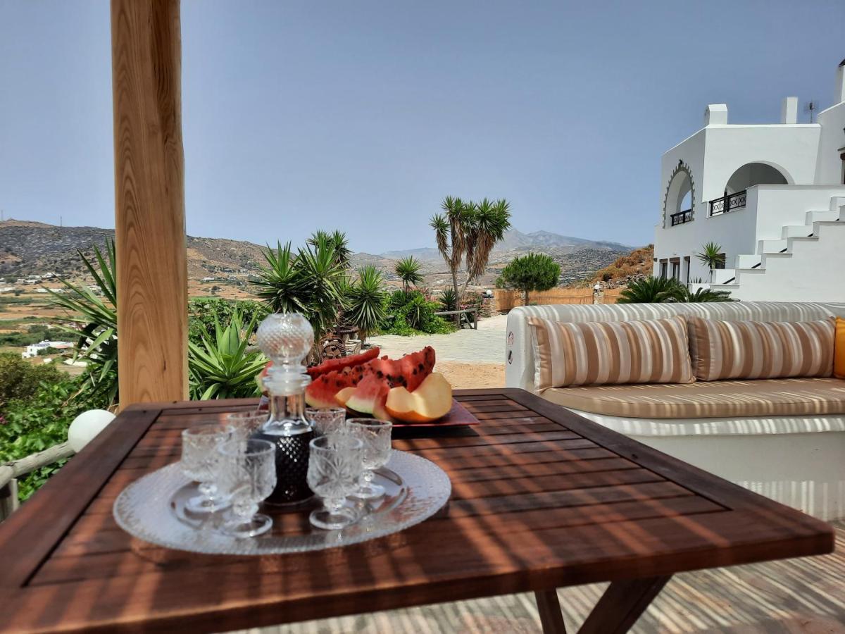 Janakos View With Private Pool *
