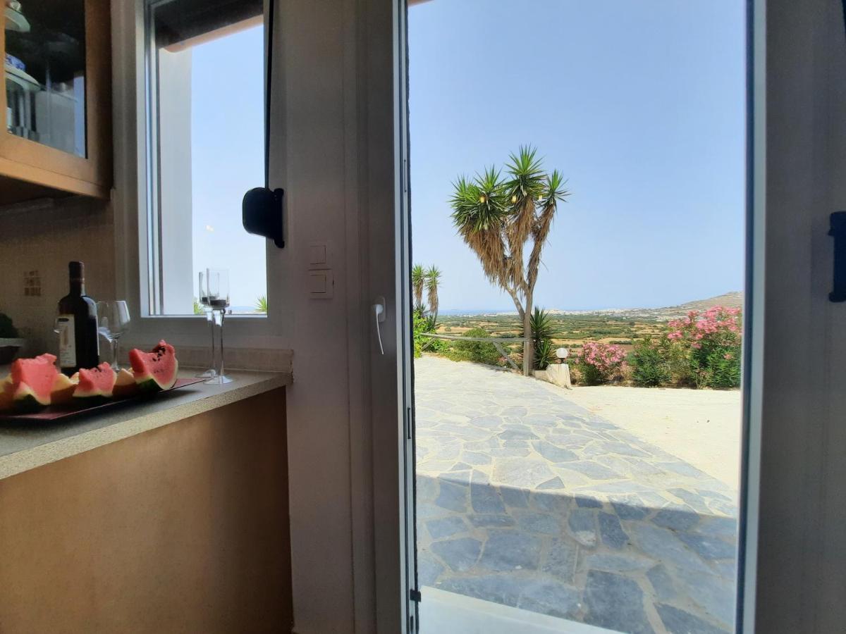 Janakos View With Private Pool Apartment Glinado Naxos