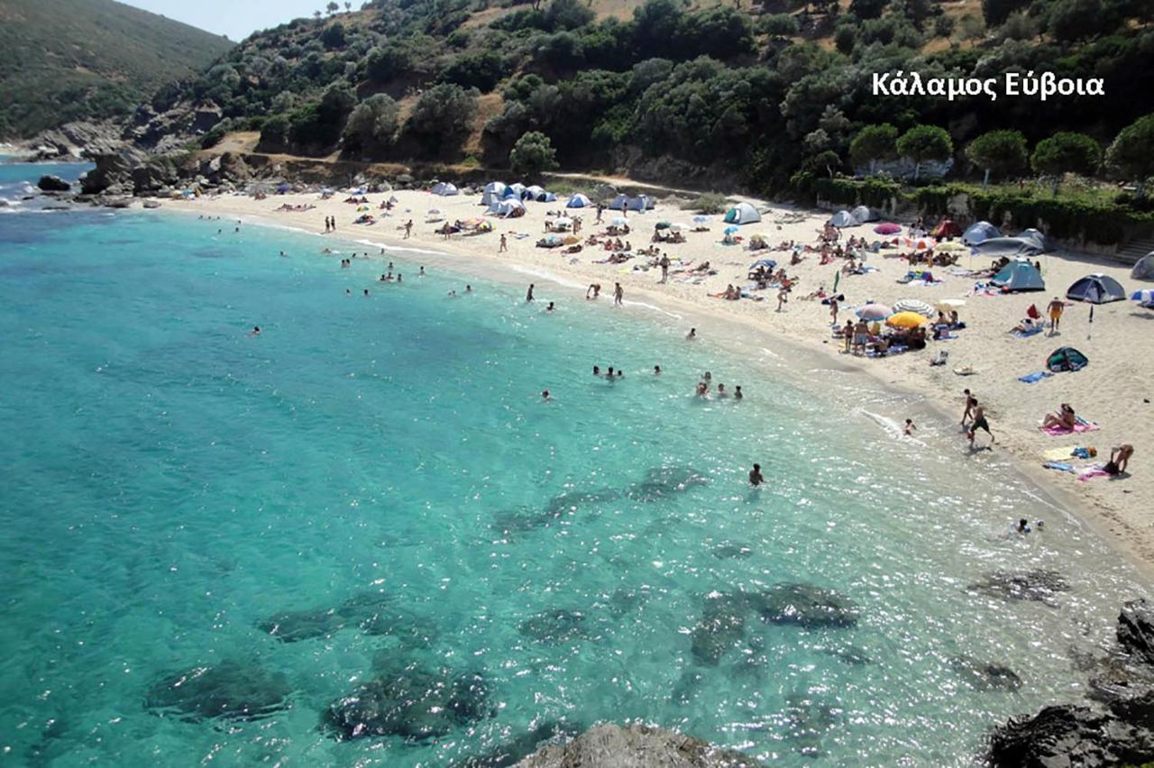 Apartment Fabulous Close To The Sea! Chalkida