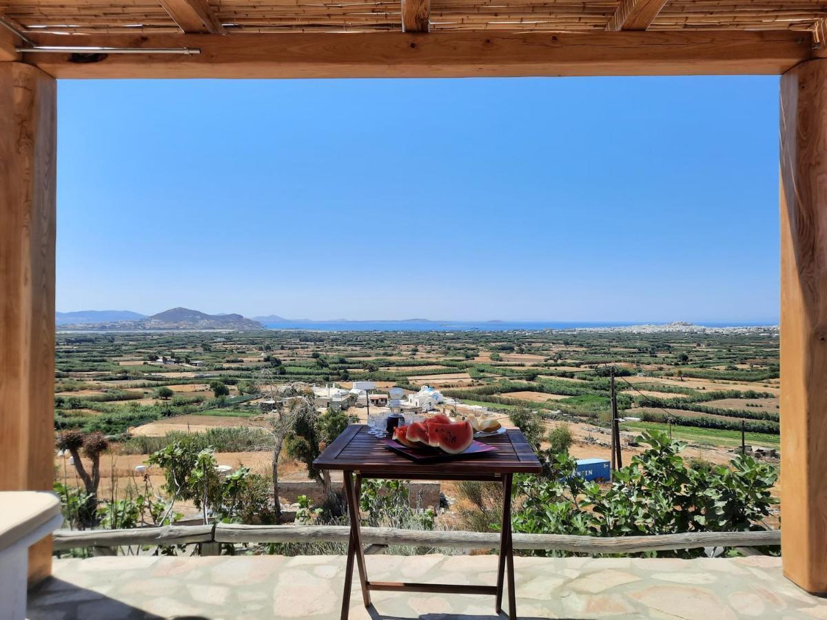 Janakos View With Private Pool Apartment Glinado Naxos