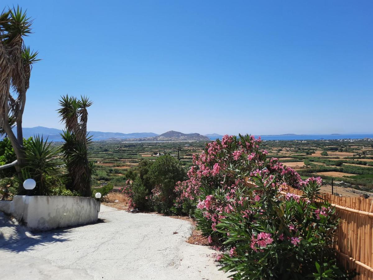 Apartment Janakos View With Private Pool Glinado Naxos