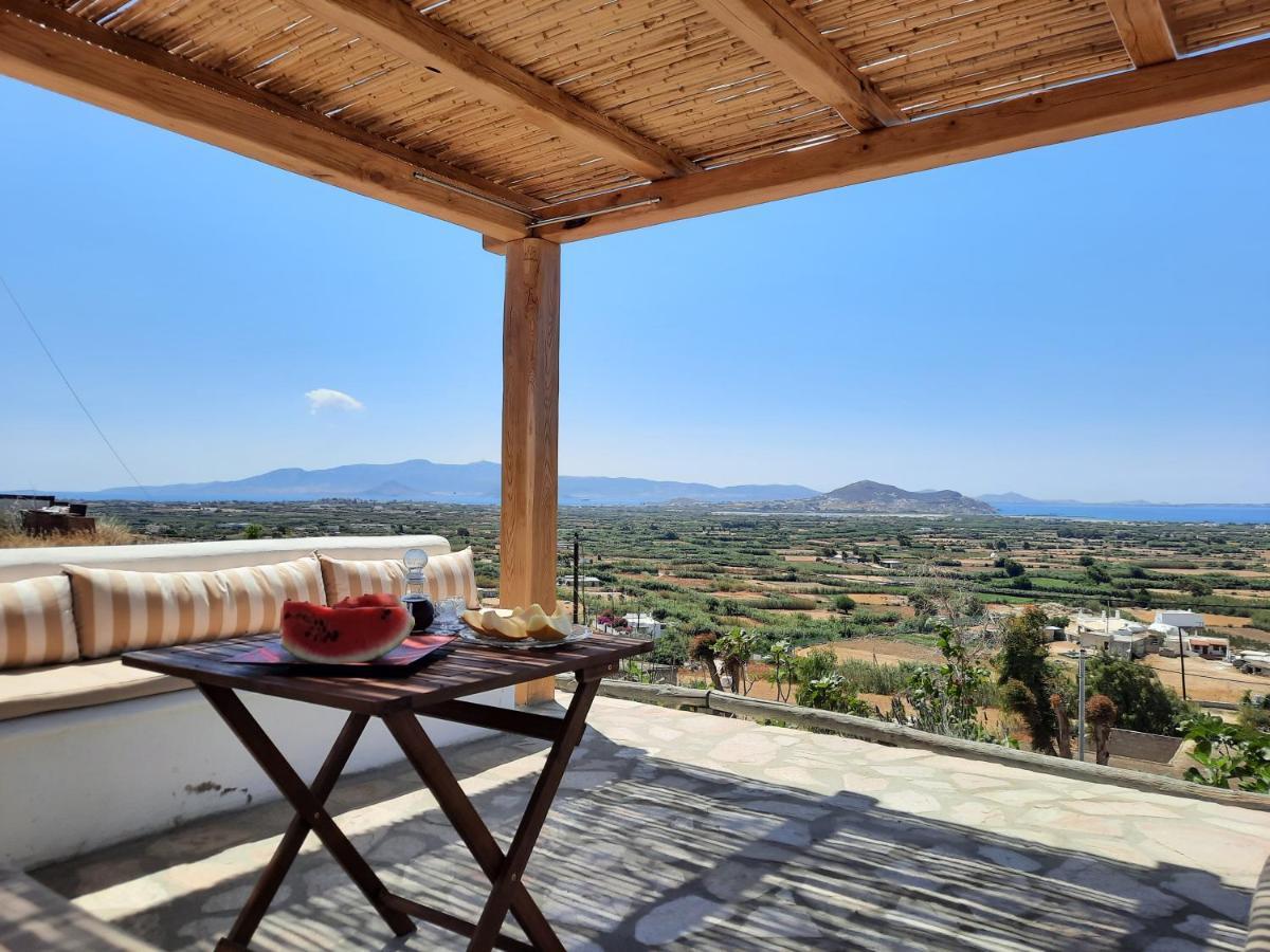 Janakos View With Private Pool Apartment