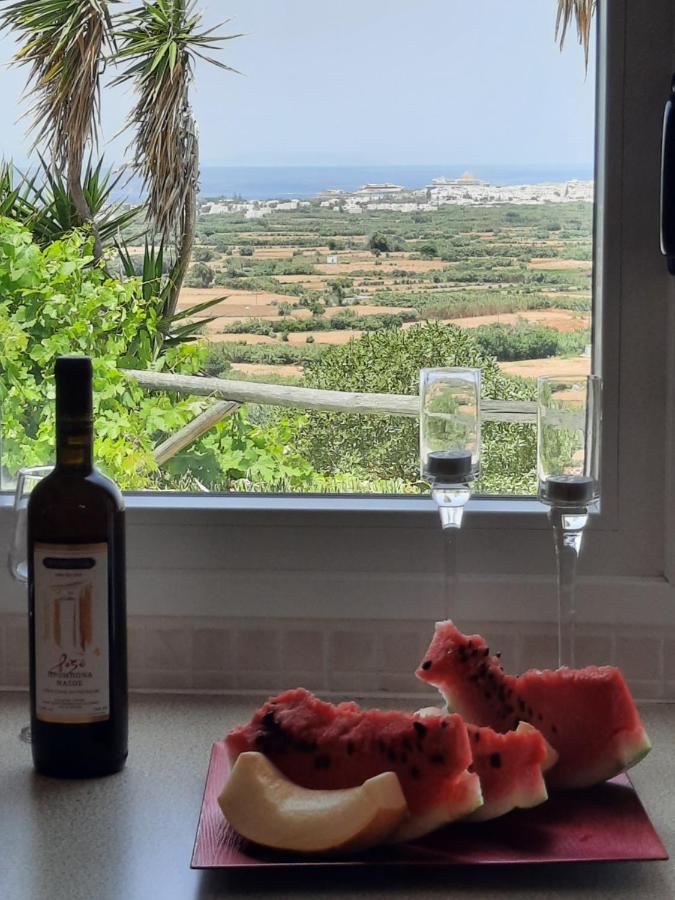 Janakos View With Private Pool *