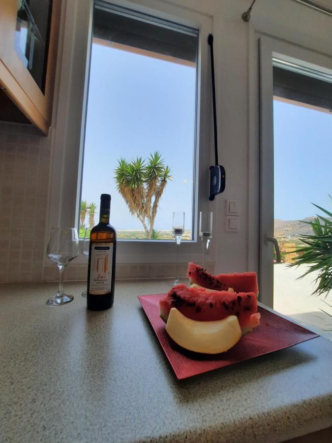 Apartment Janakos View With Private Pool