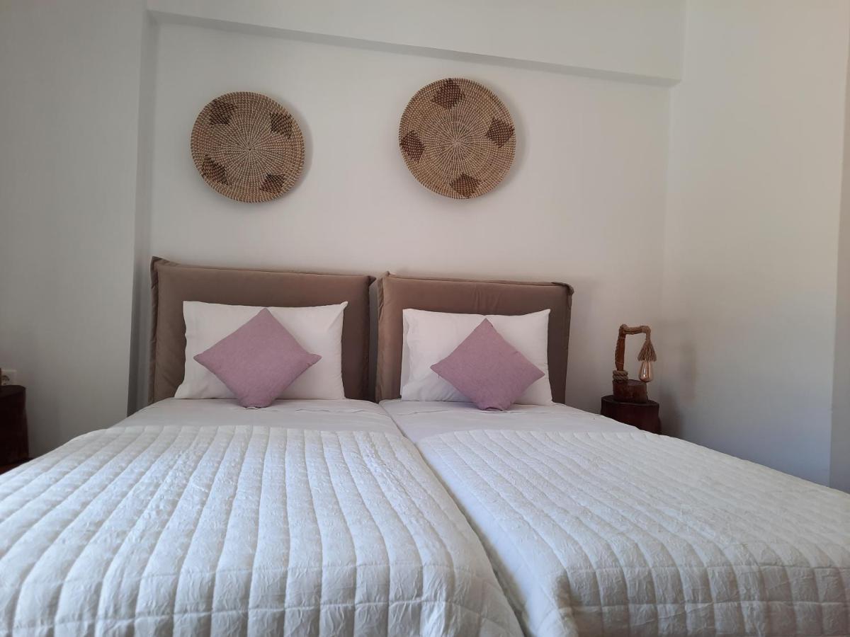 Janakos View With Private Pool Apartment