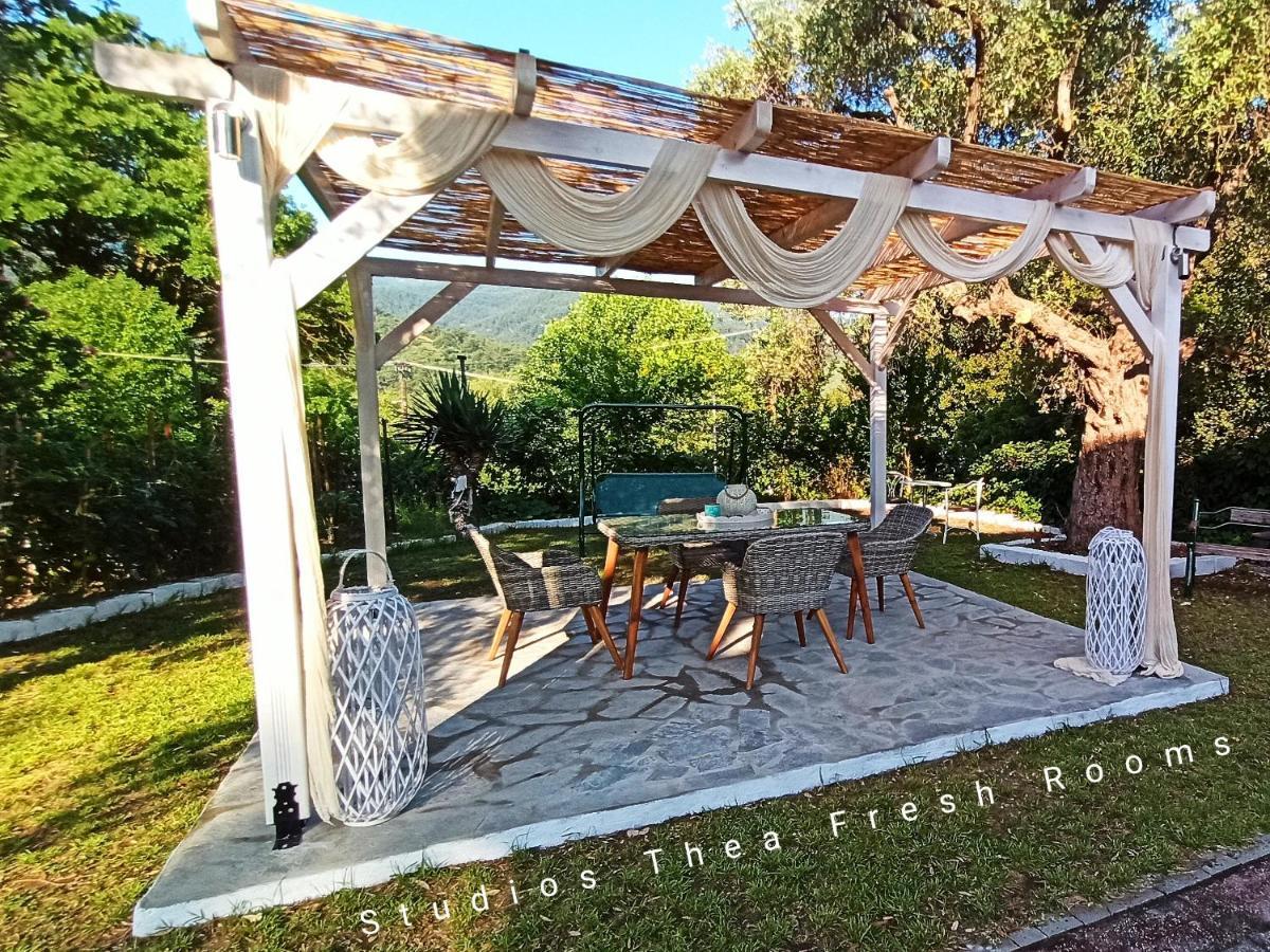 Thea Fresh * Limenas (Thasos)