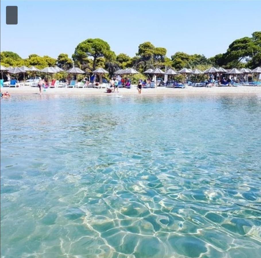 Apartment Athens Artemis Pool Sea Airport *