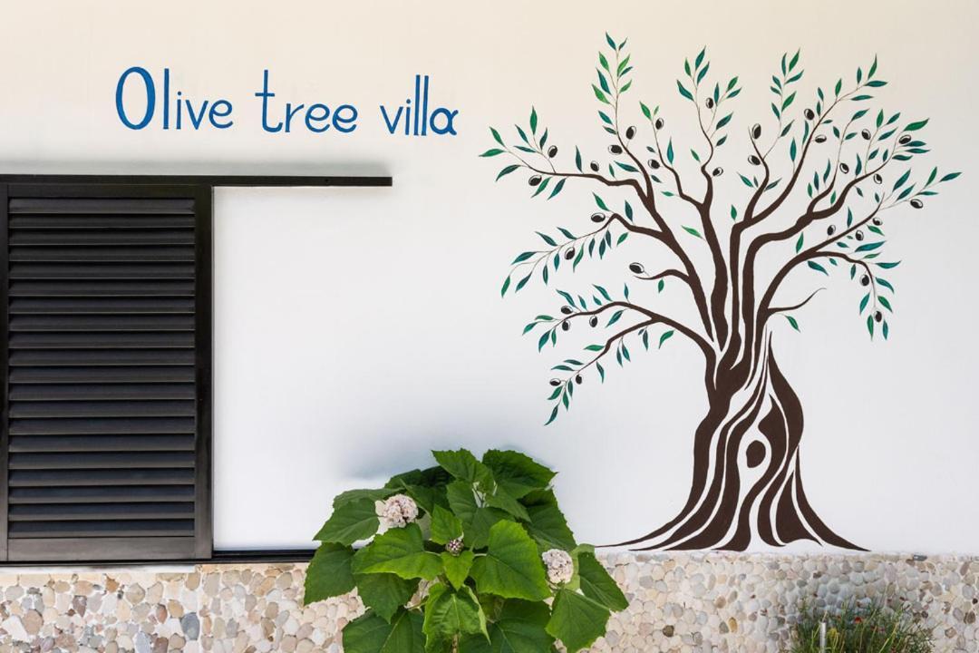 Olive Tree Lygia (Epirus)