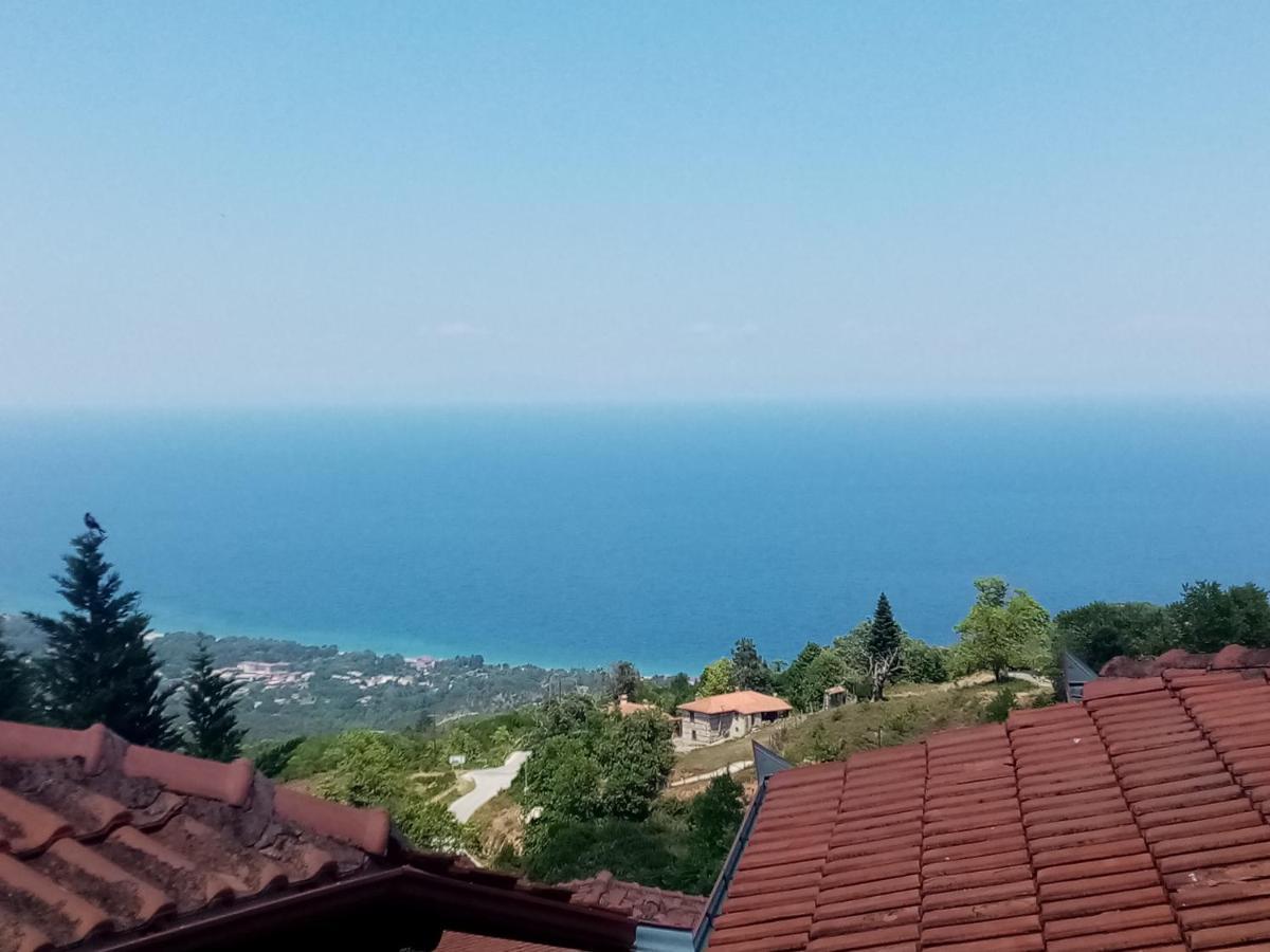 Nefeli Apartment Palaios Panteleimonas