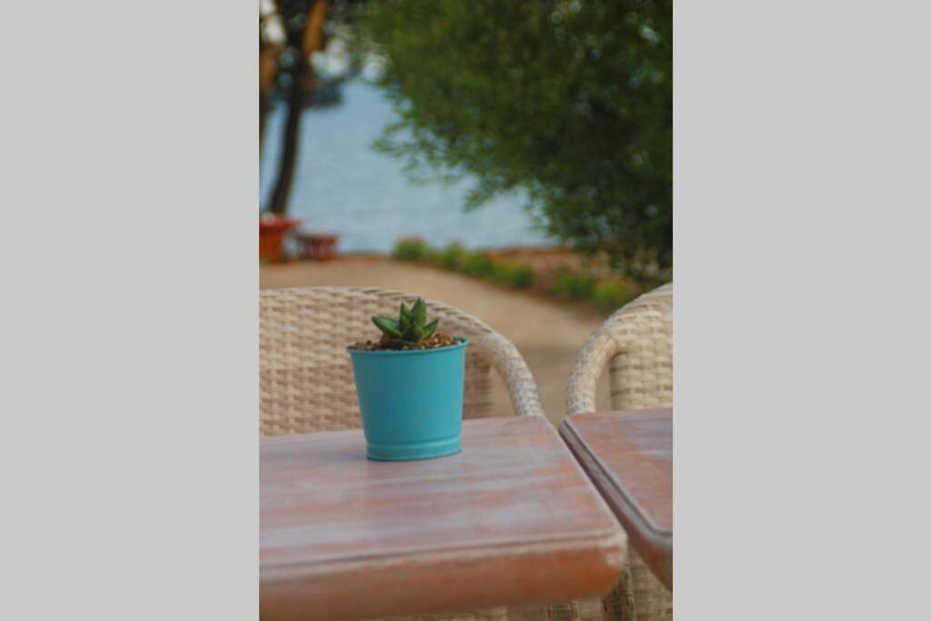 Apartment Pefkonas 100 M From The *