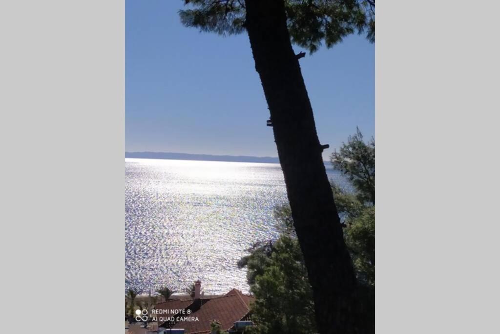 Apartment Pefkonas 100 M From The Psakoudia