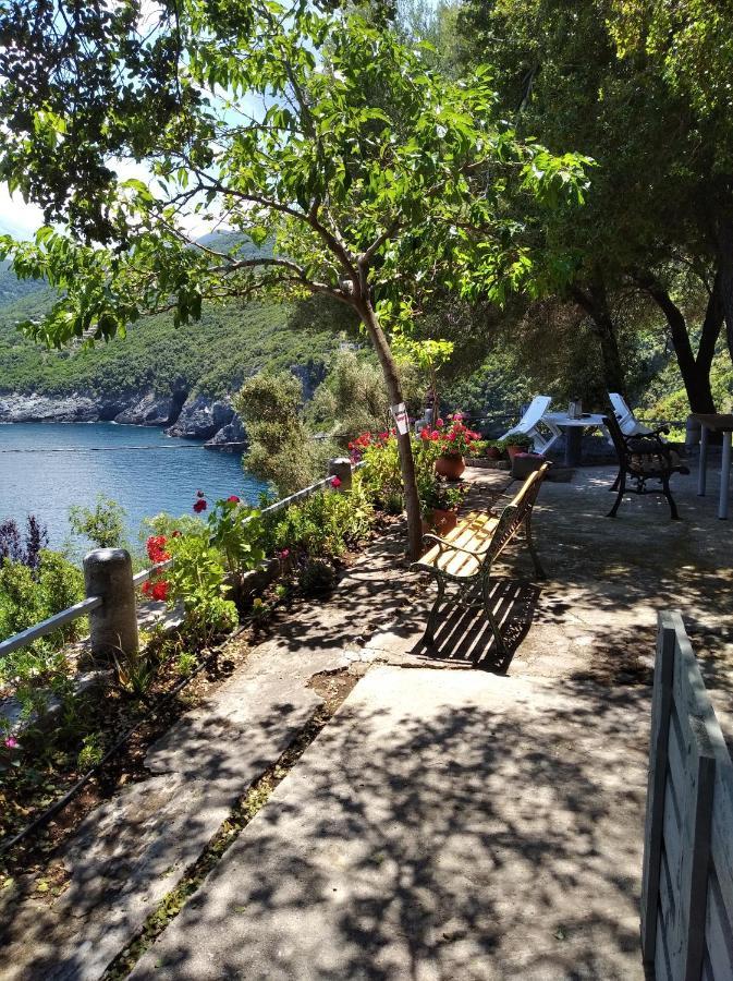 Dialiskari #3 * Limnionas (Central Greece)