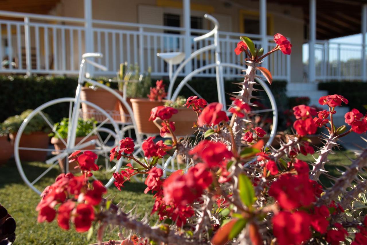 Fully Equipped House At Pachia Ammos