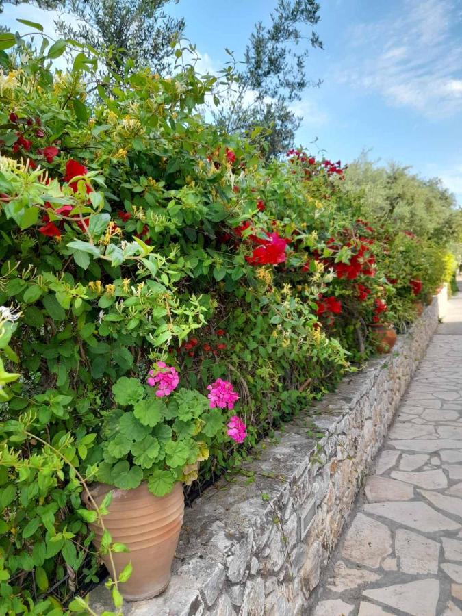 Aphrodite Aparthotel