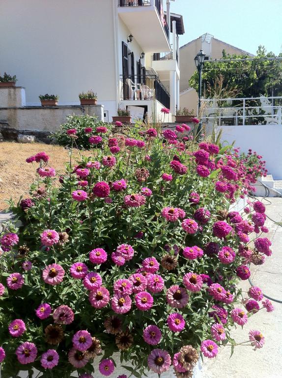 Apartment Dimitrakis