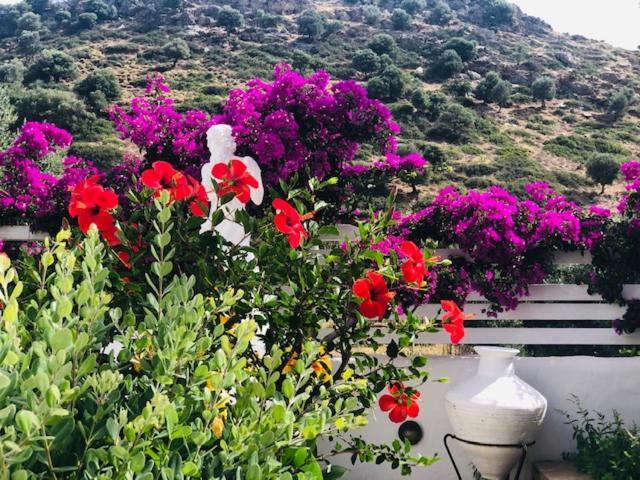 Apartment La Bastide *