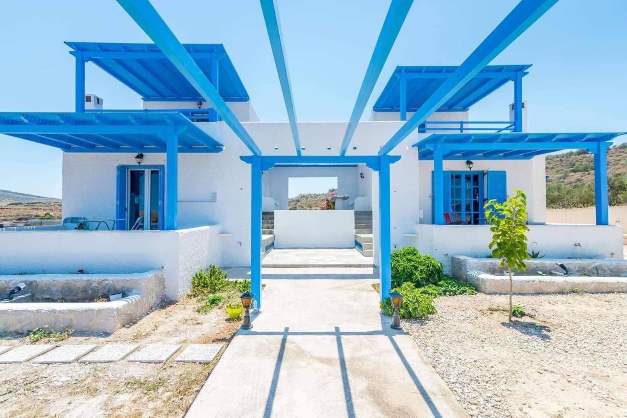 Blue Paradise * Pachaina