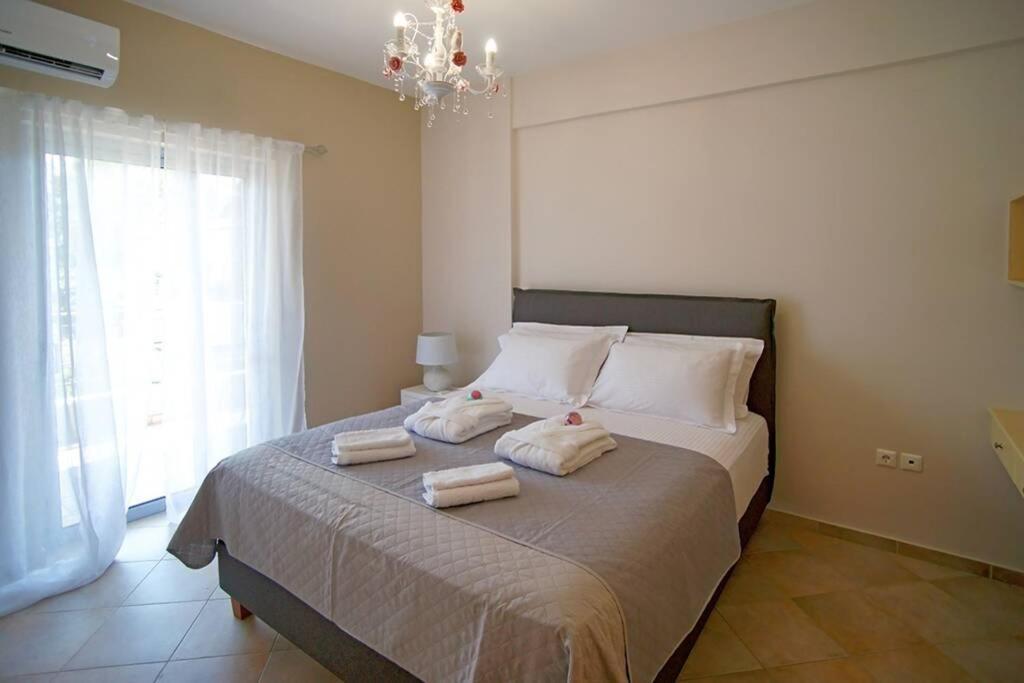 Luxury Apartment