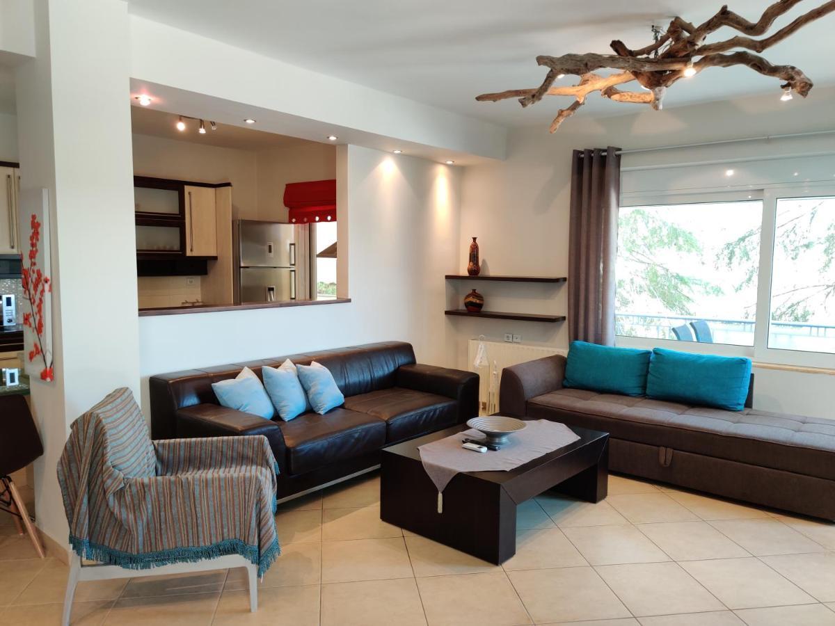 Quiet Luxury Near Center And Port Apartment *