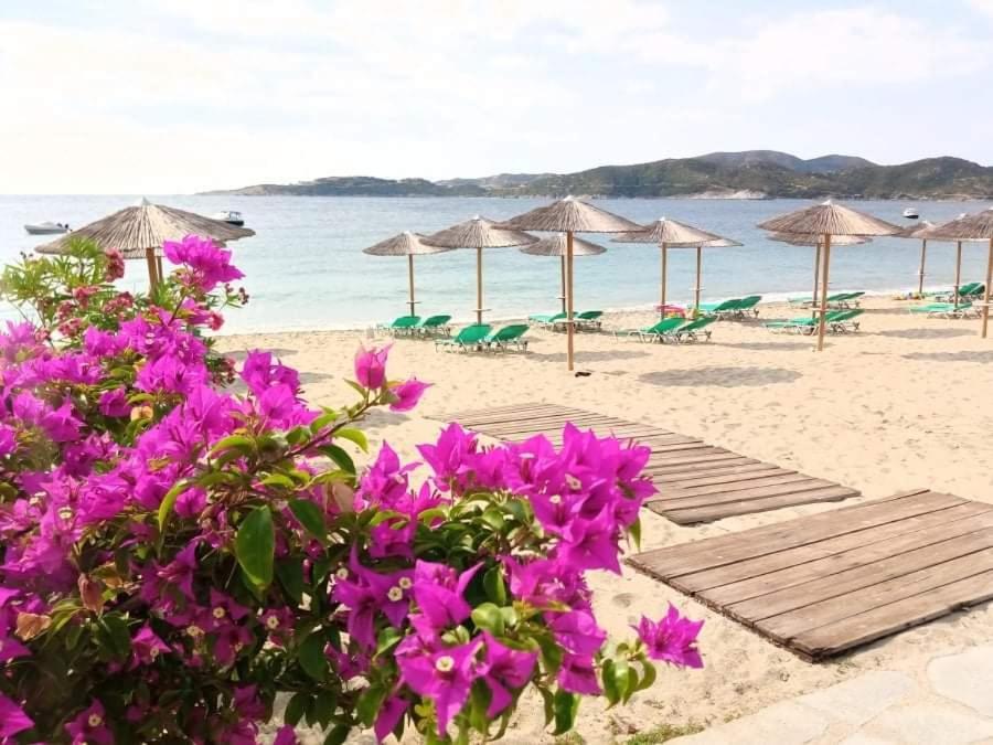 In The Garden By The Sea *