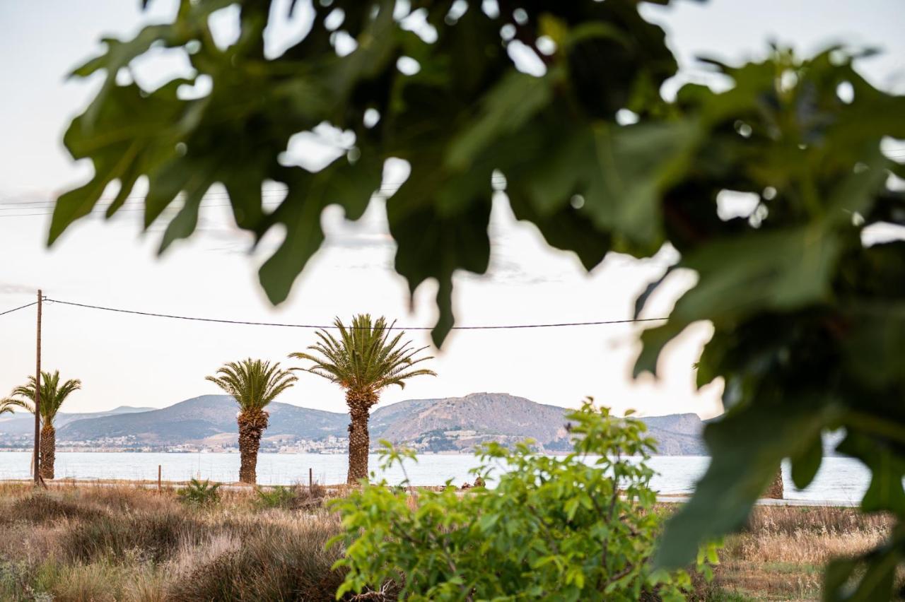 Country house Sea View Nea Kios