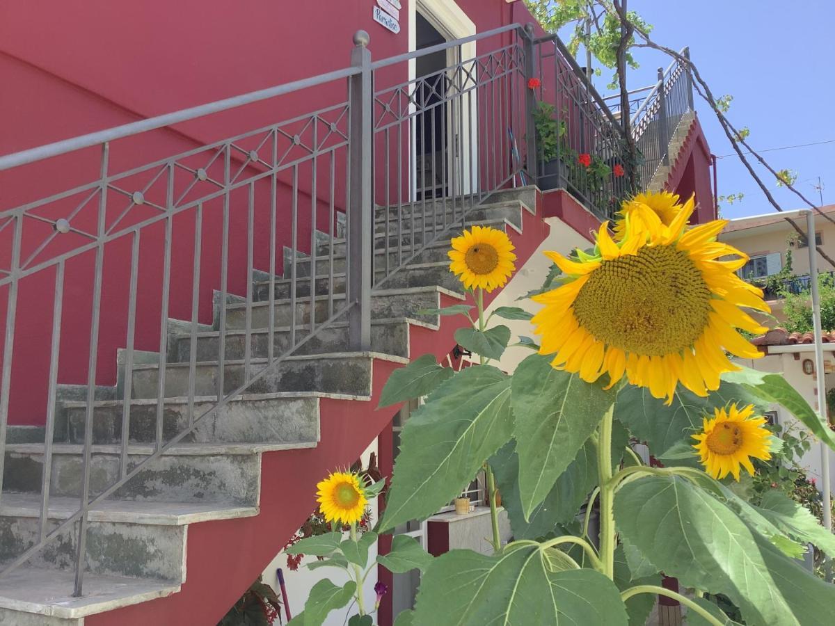 Elena Rista Guest house