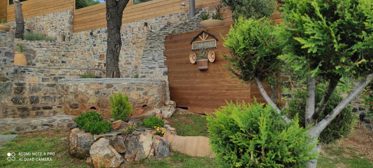 Evia Family House